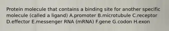 Protein molecule that contains a binding site for another specific molecule (called a ligand) A.promoter B.microtubule C.receptor D.effector E.messenger RNA (mRNA) F.gene G.codon H.exon