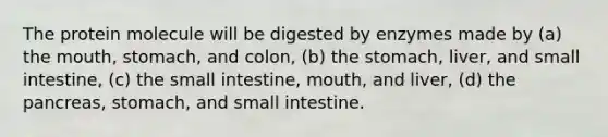 The protein molecule will be digested by enzymes made by (a) the mouth, stomach, and colon, (b) the stomach, liver, and small intestine, (c) the small intestine, mouth, and liver, (d) the pancreas, stomach, and small intestine.