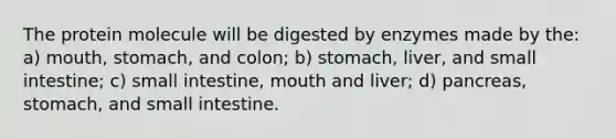 The protein molecule will be digested by enzymes made by the: a) mouth, stomach, and colon; b) stomach, liver, and small intestine; c) small intestine, mouth and liver; d) pancreas, stomach, and small intestine.