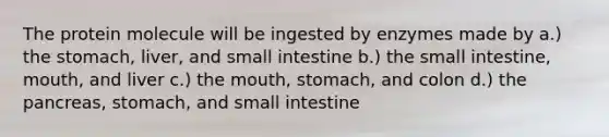 The protein molecule will be ingested by enzymes made by a.) the stomach, liver, and small intestine b.) the small intestine, mouth, and liver c.) the mouth, stomach, and colon d.) the pancreas, stomach, and small intestine