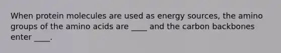 When protein molecules are used as energy sources, the amino groups of the <a href='https://www.questionai.com/knowledge/k9gb720LCl-amino-acids' class='anchor-knowledge'>amino acids</a> are ____ and the carbon backbones enter ____.