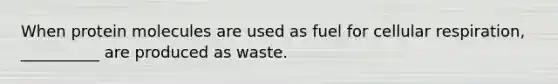 When protein molecules are used as fuel for cellular respiration, __________ are produced as waste.