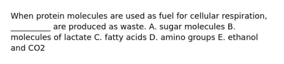 When protein molecules are used as fuel for cellular respiration, __________ are produced as waste. A. sugar molecules B. molecules of lactate C. fatty acids D. amino groups E. ethanol and CO2