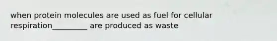 when protein molecules are used as fuel for cellular respiration_________ are produced as waste