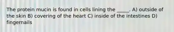 The protein mucin is found in cells lining the _____. A) outside of the skin B) covering of <a href='https://www.questionai.com/knowledge/kya8ocqc6o-the-heart' class='anchor-knowledge'>the heart</a> C) inside of the intestines D) fingernails