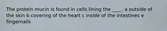 The protein mucin is found in cells lining the ____. a outside of the skin b covering of <a href='https://www.questionai.com/knowledge/kya8ocqc6o-the-heart' class='anchor-knowledge'>the heart</a> c inside of the intestines e fingernails