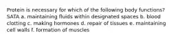 Protein is necessary for which of the following body functions? SATA a. maintaining fluids within designated spaces b. blood clotting c. making hormones d. repair of tissues e. maintaining cell walls f. formation of muscles