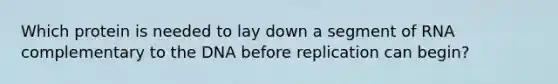Which protein is needed to lay down a segment of RNA complementary to the DNA before replication can begin?