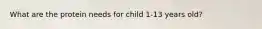 What are the protein needs for child 1-13 years old?