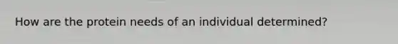 How are the protein needs of an individual determined?