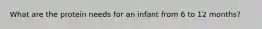 What are the protein needs for an infant from 6 to 12 months?