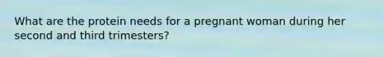 What are the protein needs for a pregnant woman during her second and third trimesters?