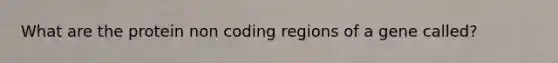 What are the protein non coding regions of a gene called?