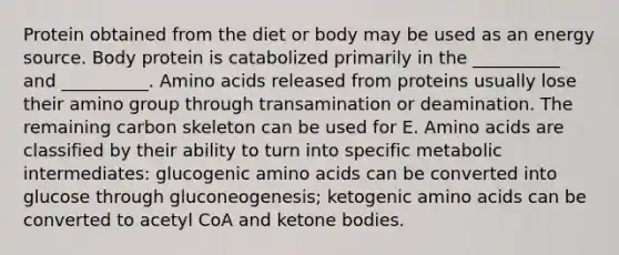 Protein obtained from the diet or body may be used as an energy source. Body protein is catabolized primarily in the __________ and __________. Amino acids released from proteins usually lose their amino group through transamination or deamination. The remaining carbon skeleton can be used for E. Amino acids are classified by their ability to turn into specific metabolic intermediates: glucogenic amino acids can be converted into glucose through gluconeogenesis; ketogenic amino acids can be converted to acetyl CoA and ketone bodies.