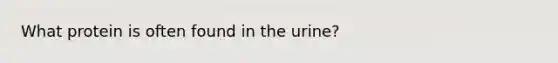 What protein is often found in the urine?