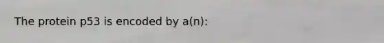 The protein p53 is encoded by a(n):