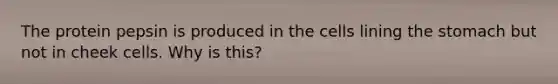 The protein pepsin is produced in the cells lining <a href='https://www.questionai.com/knowledge/kLccSGjkt8-the-stomach' class='anchor-knowledge'>the stomach</a> but not in cheek cells. Why is this?