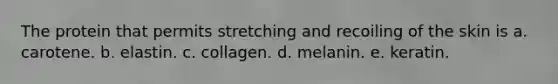 The protein that permits stretching and recoiling of the skin is a. carotene. b. elastin. c. collagen. d. melanin. e. keratin.