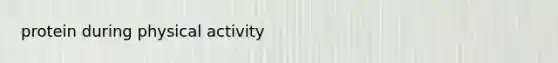 protein during physical activity