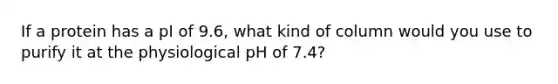 If a protein has a pI of 9.6, what kind of column would you use to purify it at the physiological pH of 7.4?