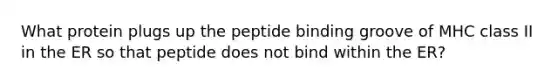 What protein plugs up the peptide binding groove of MHC class II in the ER so that peptide does not bind within the ER?