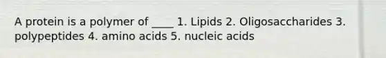 A protein is a polymer of ____ 1. Lipids 2. Oligosaccharides 3. polypeptides 4. <a href='https://www.questionai.com/knowledge/k9gb720LCl-amino-acids' class='anchor-knowledge'>amino acids</a> 5. nucleic acids