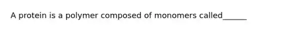 A protein is a polymer composed of monomers called______