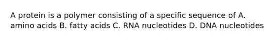 A protein is a polymer consisting of a specific sequence of A. amino acids B. fatty acids C. RNA nucleotides D. DNA nucleotides