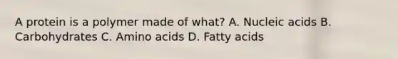 A protein is a polymer made of what? A. Nucleic acids B. Carbohydrates C. Amino acids D. Fatty acids