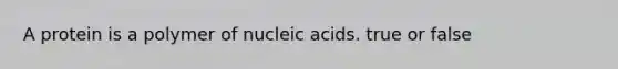 A protein is a polymer of nucleic acids. true or false