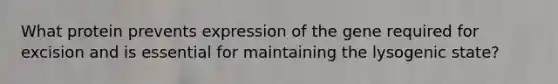 What protein prevents expression of the gene required for excision and is essential for maintaining the lysogenic state?