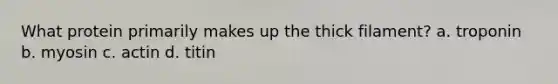 What protein primarily makes up the thick filament? a. troponin b. myosin c. actin d. titin