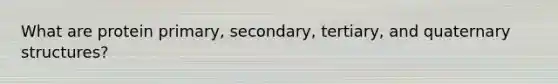 What are protein primary, secondary, tertiary, and quaternary structures?