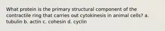 What protein is the primary structural component of the contractile ring that carries out cytokinesis in animal cells? a. tubulin b. actin c. cohesin d. cyclin