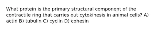 What protein is the primary structural component of the contractile ring that carries out cytokinesis in animal cells? A) actin B) tubulin C) cyclin D) cohesin