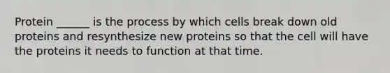 Protein ______ is the process by which cells break down old proteins and resynthesize new proteins so that the cell will have the proteins it needs to function at that time.