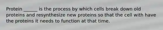 Protein ______ is the process by which cells break down old proteins and resynthesize new proteins so that the cell with have the proteins it needs to function at that time.