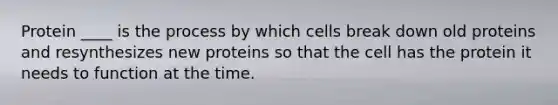 Protein ____ is the process by which cells break down old proteins and resynthesizes new proteins so that the cell has the protein it needs to function at the time.