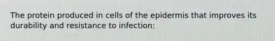 The protein produced in cells of the epidermis that improves its durability and resistance to infection: