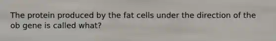 The protein produced by the fat cells under the direction of the ob gene is called what?