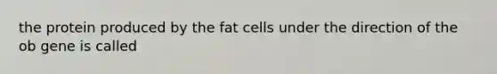 the protein produced by the fat cells under the direction of the ob gene is called