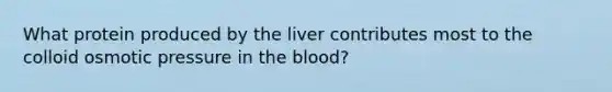 What protein produced by the liver contributes most to the colloid osmotic pressure in the blood?