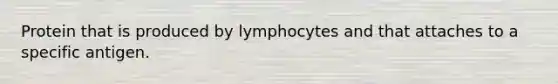 Protein that is produced by lymphocytes and that attaches to a specific antigen.