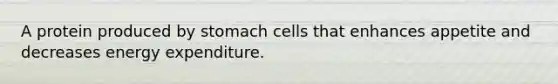 A protein produced by stomach cells that enhances appetite and decreases energy expenditure.