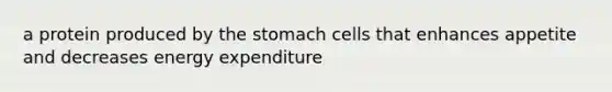 a protein produced by the stomach cells that enhances appetite and decreases energy expenditure