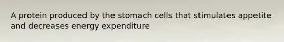 A protein produced by the stomach cells that stimulates appetite and decreases energy expenditure