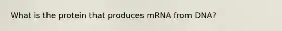 What is the protein that produces mRNA from DNA?