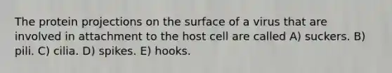 The protein projections on the surface of a virus that are involved in attachment to the host cell are called A) suckers. B) pili. C) cilia. D) spikes. E) hooks.