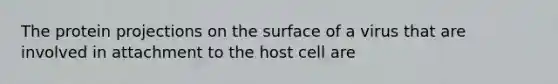 The protein projections on the surface of a virus that are involved in attachment to the host cell are