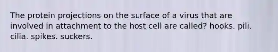 The protein projections on the surface of a virus that are involved in attachment to the host cell are called? hooks. pili. cilia. spikes. suckers.